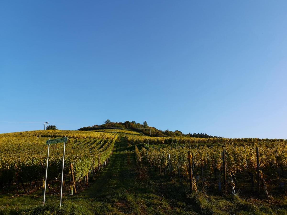 Apartamento Cocon De Caractere Au Coeur Des Vignes Alsaciennes Bergheim Exterior foto