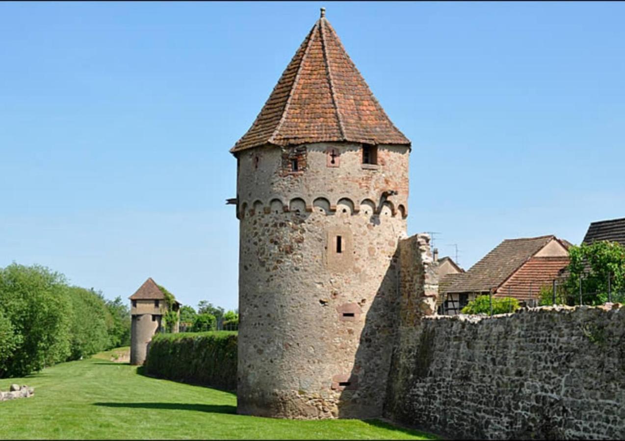 Apartamento Cocon De Caractere Au Coeur Des Vignes Alsaciennes Bergheim Exterior foto