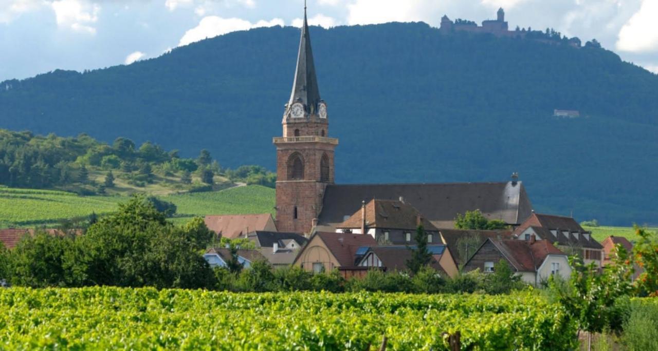 Apartamento Cocon De Caractere Au Coeur Des Vignes Alsaciennes Bergheim Exterior foto